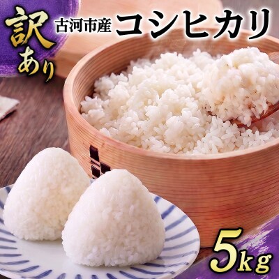 【訳あり】令和7年 古河市産 コシヒカリ 5kg | 米 こめ コメ 5キロ こしひかり コシヒカリ