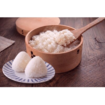 【訳あり】令和7年 古河市産 コシヒカリ 5kg | 米 こめ コメ 5キロ こしひかり コシヒカリ