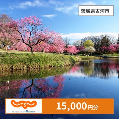 【じゃらんふるさと納税クーポン】 茨城県古河市でつかえる15,000円 クーポン