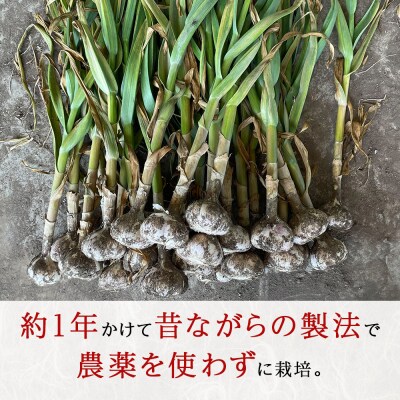 2026年分予約開始! 【数量限定】渋谷さん家の「無農薬 にんにく MIXサイズ 200gx5袋」