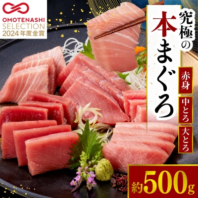 本マグロ 赤身 中トロ 大トロ 3種 セット 500g