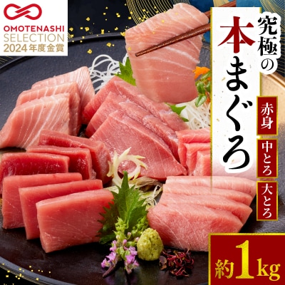 本マグロ 赤身 中トロ 大トロ 3種 セット 1kg