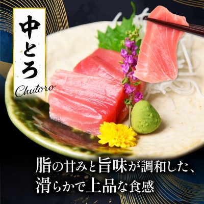 本まぐろ中とろ2柵セット
