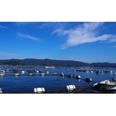 土佐宿毛粕漬けセット