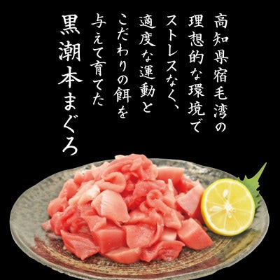 本まぐろ 切り落とし 約300g