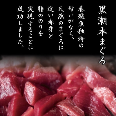 本まぐろ 切り落とし 約300g