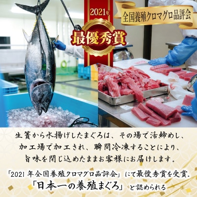本まぐろ 切り落とし 約300g