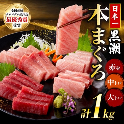 本マグロ3種セット (大トロ・中トロ・赤身) 約1kg