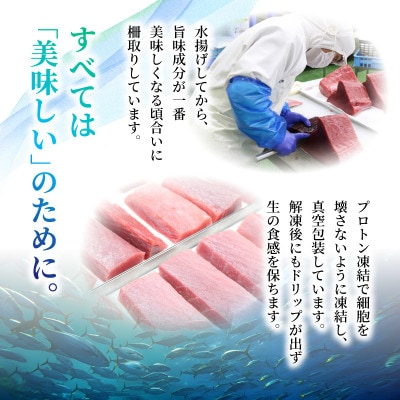 本マグロ3種セット (大トロ・中トロ・赤身) 約1kg
