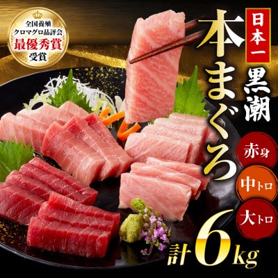 本マグロ3種セット (大トロ・中トロ・赤身) 約6kg