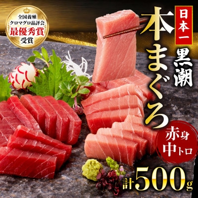 本マグロ 中トロ 赤身 2種 セット 約500g