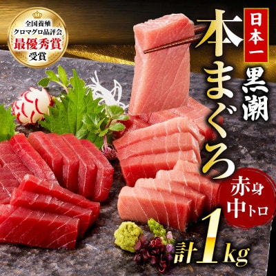 本マグロ 中トロ 赤身 2種 セット 約1kg