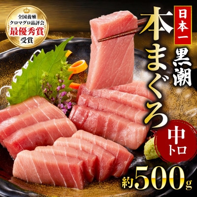 本マグロ 中トロ 約500g
