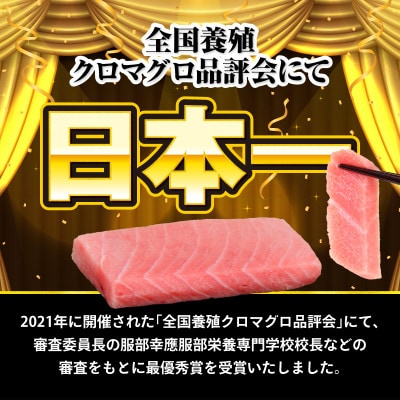 本マグロ 中トロ 約500g