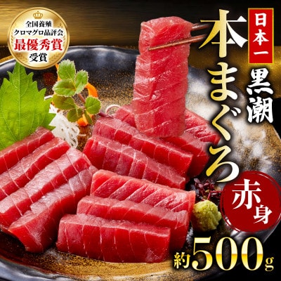 本マグロ 赤身 約500g