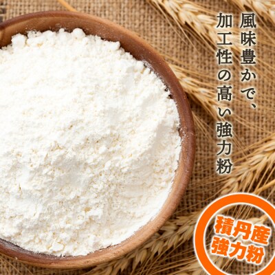 3ヵ月定期便 竹内さんちの小麦粉 春よ恋 1kg×3袋