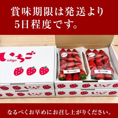 【2026年3月下旬以降発送】北海道産 完熟よつぼし苺(約250g×2パック)