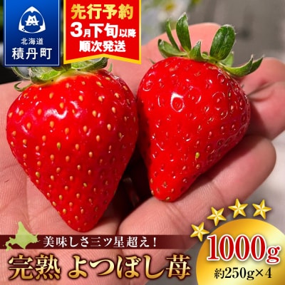 【2026年3月下旬以降発送】北海道産 完熟よつぼし苺(約250g×4パック)