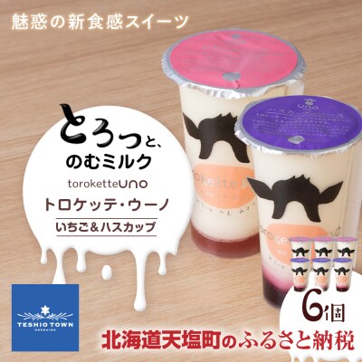 トロケッテ・ウーノ いちごのソース&ハスカップのソース 計6個(宇野牧場)