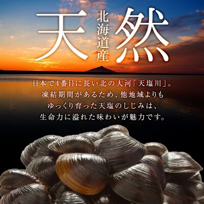 しじみ潮汁 8カップ＜天塩の國＞ 即席 即席味噌汁 味噌汁 個包装 個装 簡単 インスタント