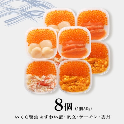 彩り海鮮丼 具 50g×2 丼ぶり 刺身 海鮮セット 【北海道】【札幌バルナバフーズ】