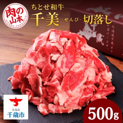 ちとせ和牛「千美」切落し 500g＜肉の山本＞