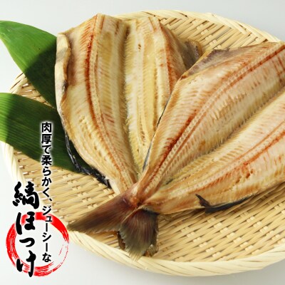 縞ほっけの開き2枚＜かに善＞