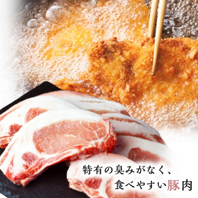 北海道産　豚ロースとんかつ・すき焼きセット1.4kg＜肉の山本＞