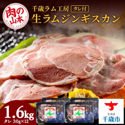 ΃H[ WMXJ 1.6kgt  r kC ̎R{