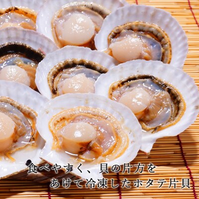 北海道産 冷凍ホタテ片貝 15枚セット