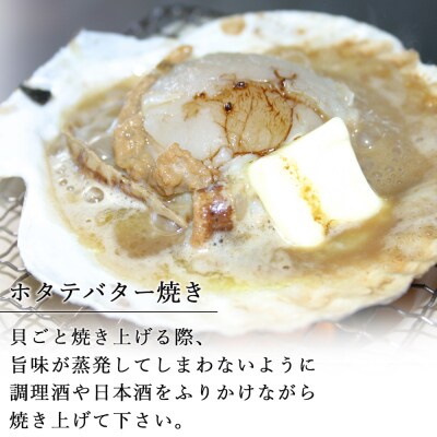 北海道産 冷凍ホタテ片貝 15枚セット