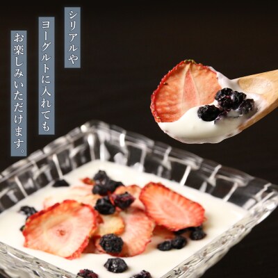 【ギフト用】《北海道産》無添加ドライブルーベリー