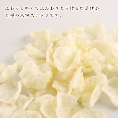 《岩塚製菓》ふわっと えび味 10袋入×2箱 ～北海道工場製造～