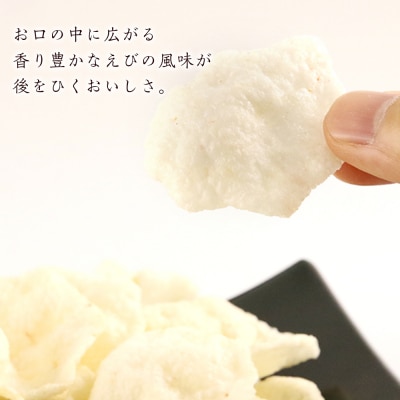 《岩塚製菓》ふわっと えび味 10袋入×2箱 ～北海道工場製造～