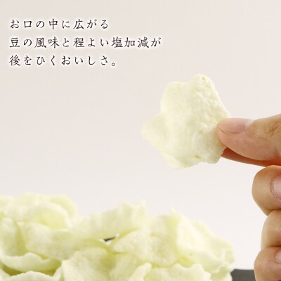 《岩塚製菓》ふわっと 枝豆味 10袋入×2箱 ～北海道工場製造～