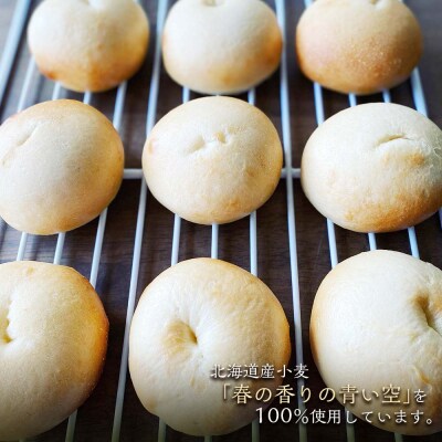 《定期便》～北海道産小麦100%使用～ パリむぎゅベーグル 10個セット＜全2回＞