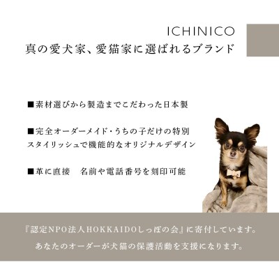 ICHINICOオンラインショップ お仕立て券10,000円分