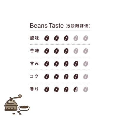 EZO COFFEE エゾコーヒー(100g)×3パック