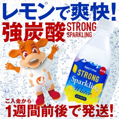 【定期便6ヵ月】セコマ レモン 強炭酸水 500ml 24本 1ケース 北海道 千歳製造