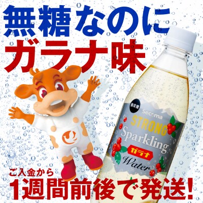【定期便6ヵ月】セコマ ガラナ 強炭酸水 500ml  24本  1ケース 北海道 千歳製造