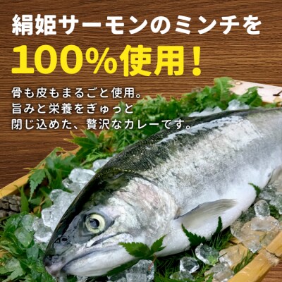 絹姫サーモン 奥三河おさかなキーマカレー 6個セット 魚 サーモン レトルトカレー