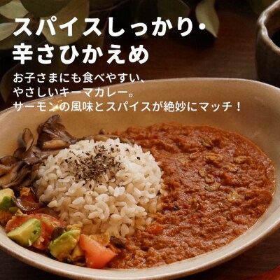 絹姫サーモン 奥三河おさかなキーマカレー 6個セット 魚 サーモン レトルトカレー
