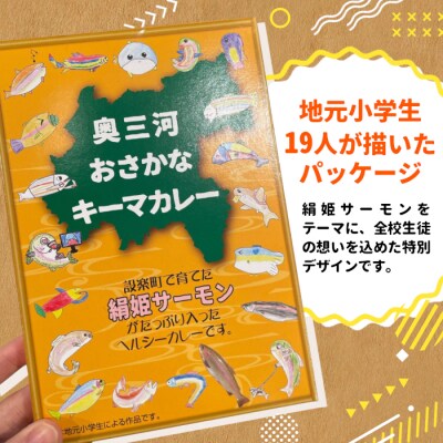 絹姫サーモン 奥三河おさかなキーマカレー 6個セット 魚 サーモン レトルトカレー