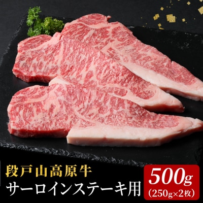 国産牛 段戸山高原牛 サーロインステーキ用 2枚 500g (250g×2) 牛肉 赤身 サーロイン