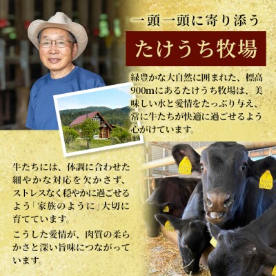 国産牛 段戸山高原牛 サーロインステーキ用 1枚 250g 牛肉 赤身 サーロイン ステーキ