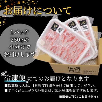 国産牛 段戸山高原牛 ロース肉スライス すき焼き・しゃぶ用 750g (250g×3) 牛肉 ロース