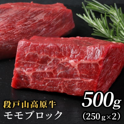 国産牛 赤身が美味しい 段戸山高原牛 モモブロック 500g (250g×2) 牛肉 赤身ブロック