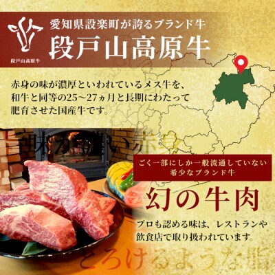国産牛 赤身が美味しい 段戸山高原牛 モモブロック 500g (250g×2) 牛肉 赤身ブロック