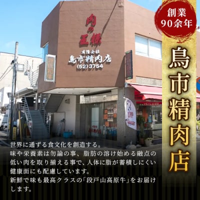 国産牛 段戸山高原牛 角切り(煮込み用) 400g牛肉 赤身 ビーフシチュー