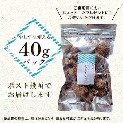 栽培期間中農薬不使用 原木栽培 とよくに清流 ほししいたけ 40g 椎茸